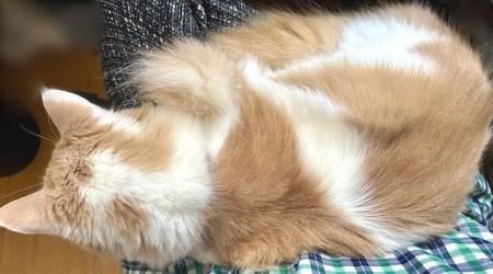 thumbnail_IMG_2877 (1)