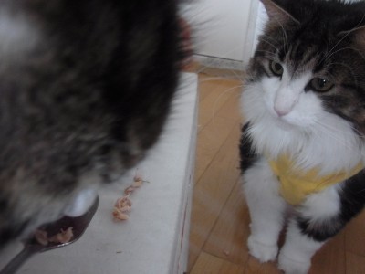 9f1c27f3