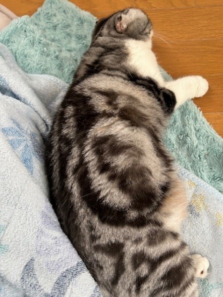 thumbnail_IMG_1581 (1)