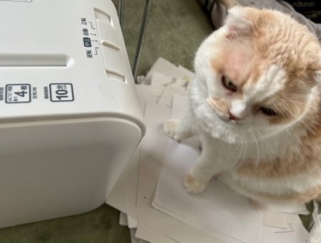 thumbnail_IMG_2765 (1)