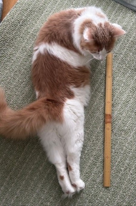 thumbnail_IMG_5572 (2)