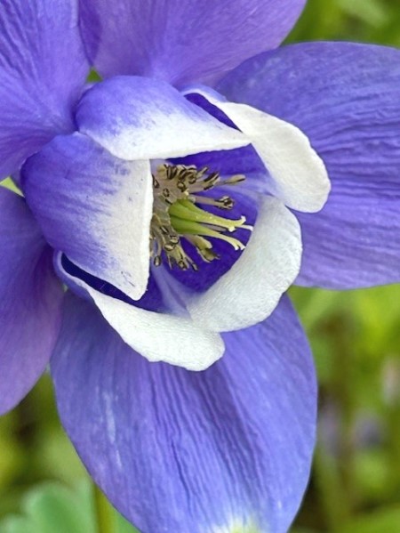 thumbnail_IMG_6333 (1)