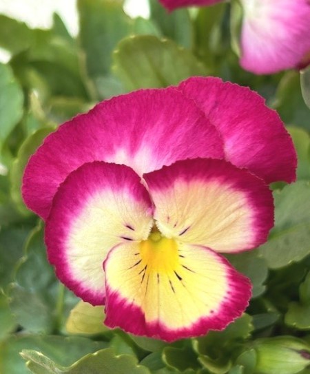 thumbnail_IMG_7875 (1)