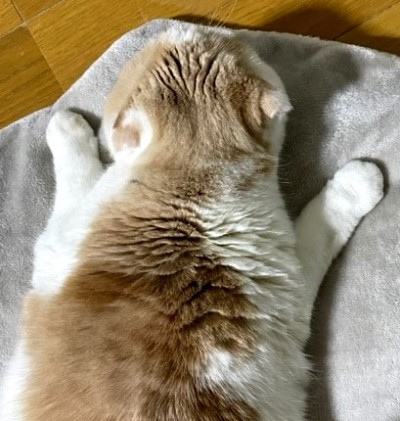 3501