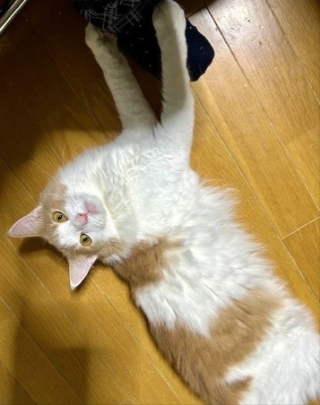 thumbnail_IMG_3546 (1)