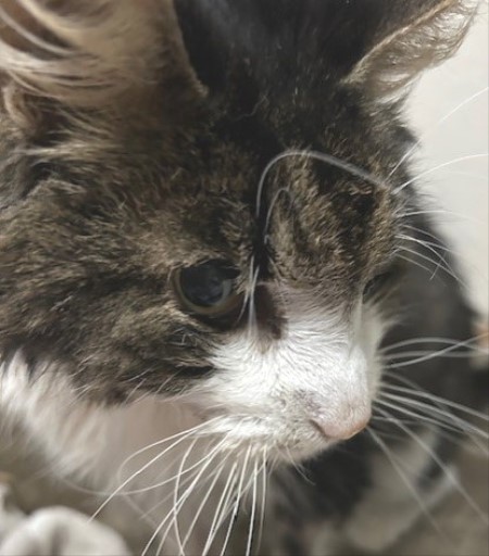 thumbnail_IMG_5123 (1)