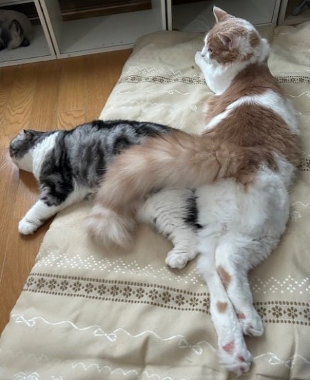 thumbnail_IMG_2208 (1)