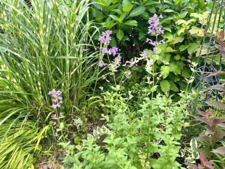 thumbnail_IMG_8911 (1)