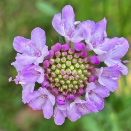 thumbnail_IMG_5670