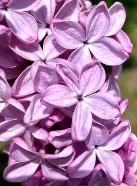 thumbnail_IMG_0752