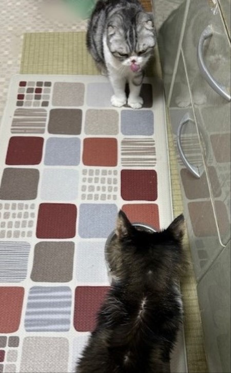 thumbnail_IMG_7940 (1)