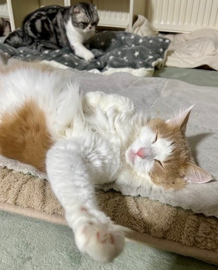 thumbnail_IMG_4821 (2)