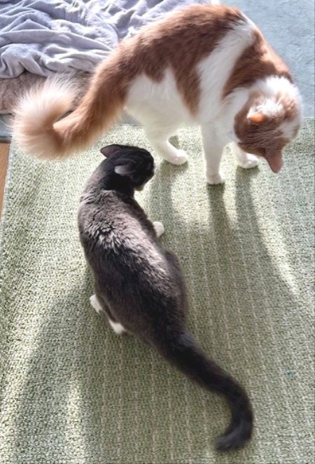 b4b8c6ca-b08e-4de7-a2b8-ae23ed2a813a