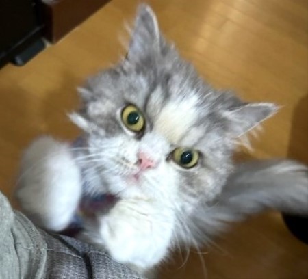 thumbnail_IMG_7598