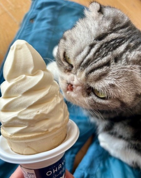 thumbnail_IMG_4559 (1)