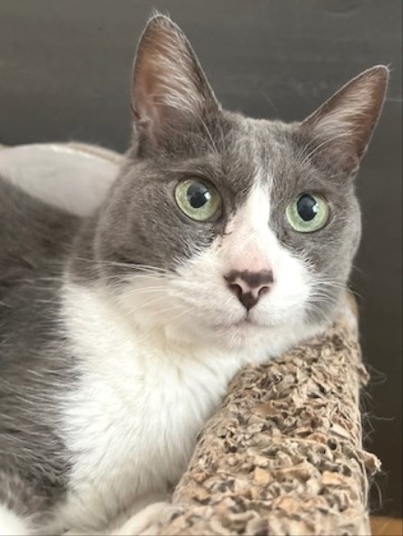 thumbnail_IMG_3664 (1)