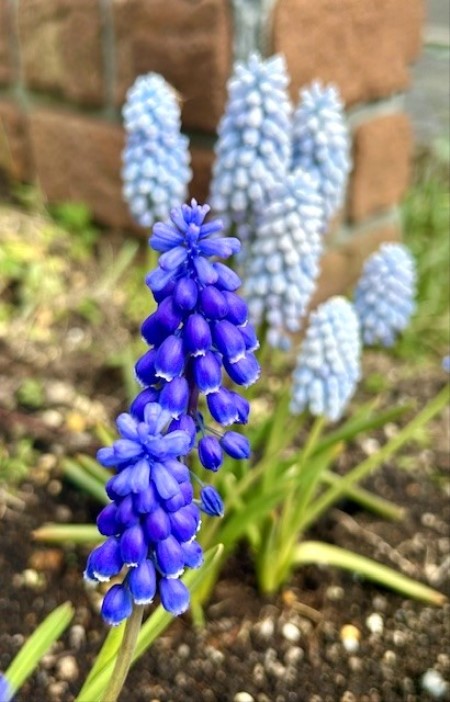 thumbnail_IMG_5481 (1)