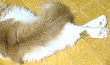 thumbnail_IMG_4654 (1)