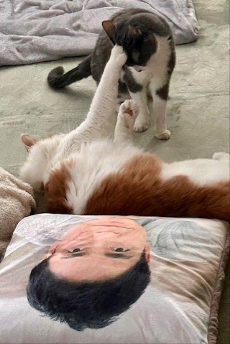 thumbnail_IMG_3929 (1)