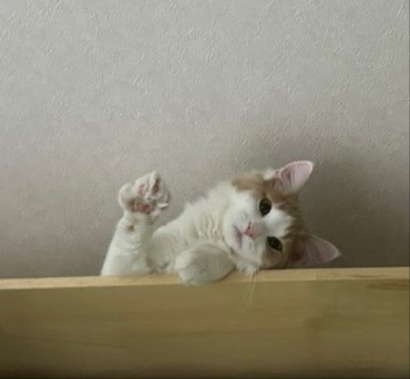 thumbnail_IMG_5669 (1)