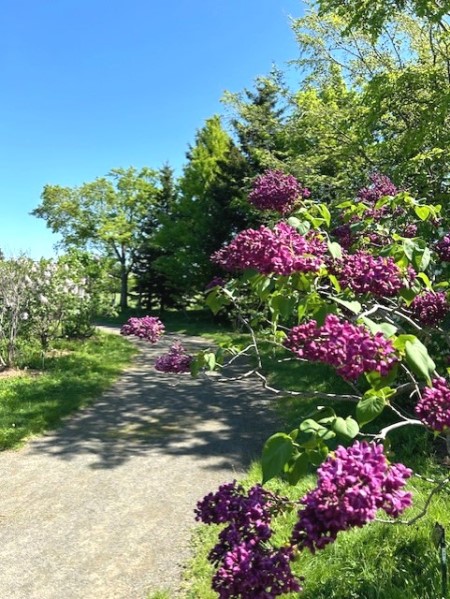 thumbnail_IMG_0487 (1)