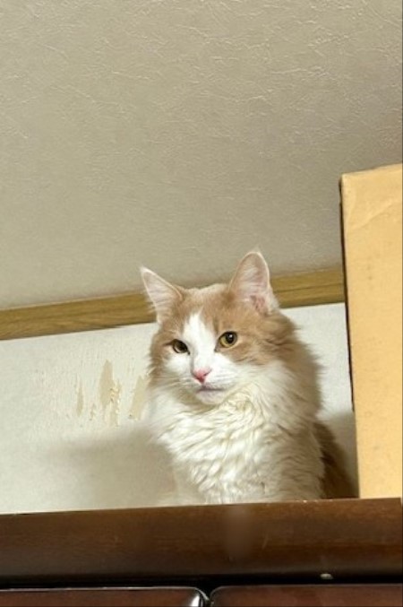 thumbnail_IMG_5223 (1)