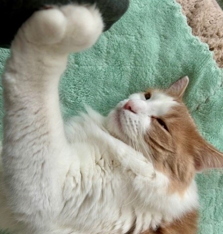 thumbnail_IMG_5962 (1)