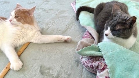 thumbnail_IMG_5219 (1)