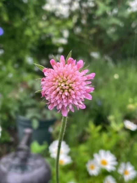 thumbnail_IMG_2372_1