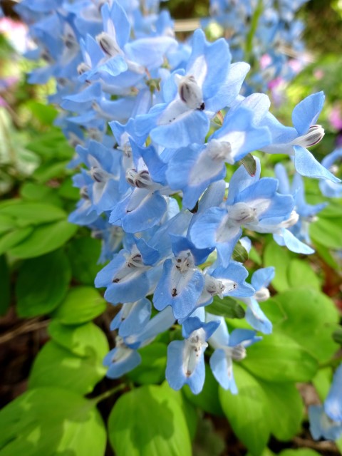 DSC01533