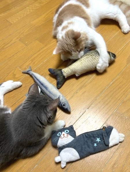 thumbnail_IMG_3082 (1)