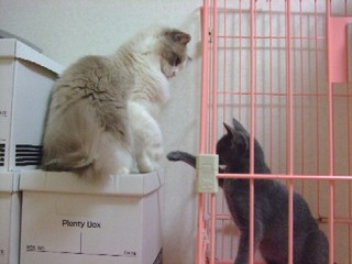 2007_10040025