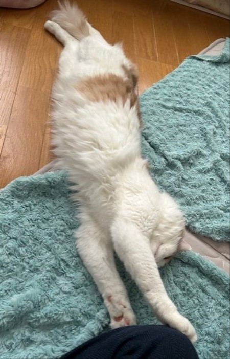 thumbnail_IMG_1511 (1)