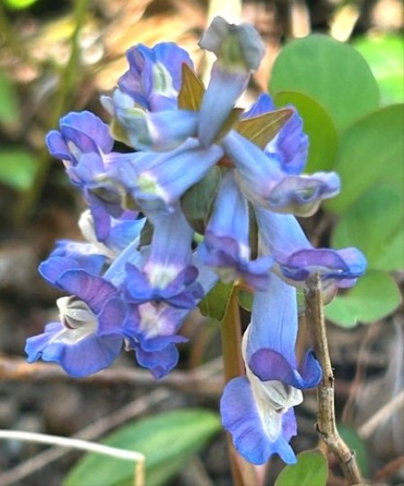 thumbnail_IMG_4580 (2)