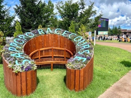 thumbnail_IMG_0332 (1)