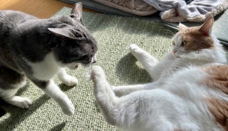 253a1505-b3aa-42d6-bd6b-cd429a15320d