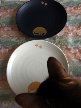 「猫だらけ」