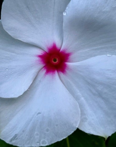 thumbnail_IMG_3338 (1)