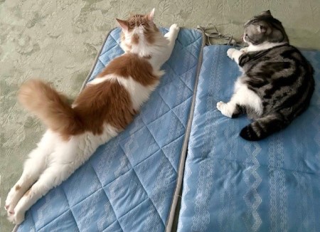 thumbnail_IMG_8408 (2)