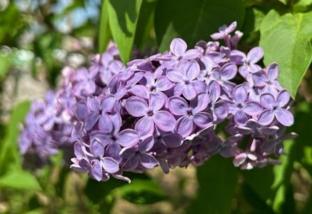 thumbnail_IMG_0148