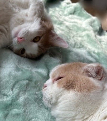 thumbnail_IMG_7817 (1)