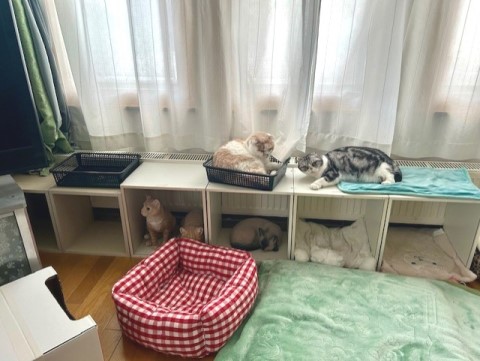 thumbnail_IMG_2865 (1)