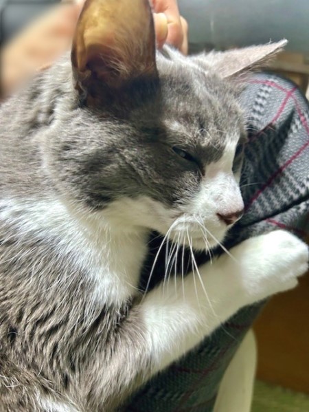 12ccf0c0-7536-42e2-8f36-3ef9ee20b97e