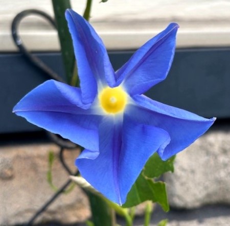 thumbnail_IMG_3815 (1)