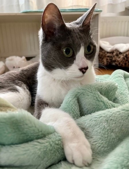 thumbnail_IMG_0009 (1)