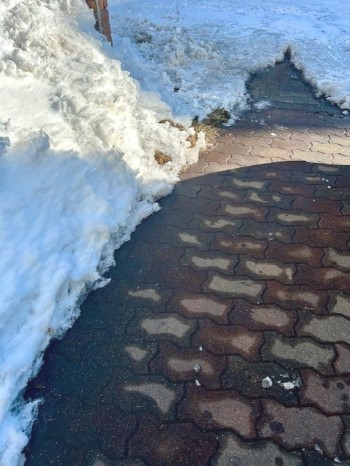 thumbnail_IMG_2584 (1)