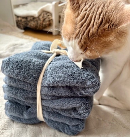 thumbnail_IMG_2453 (2)