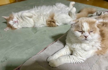 thumbnail_IMG_6463 (1)