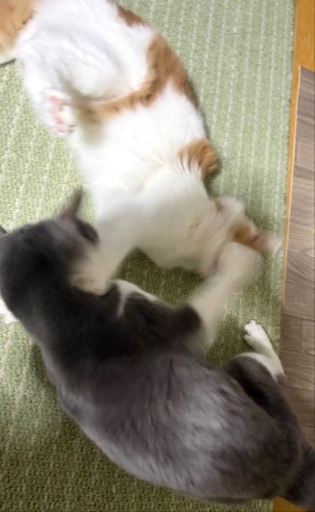 095bfa18-42fd-4f71-b080-638e0716e0b8