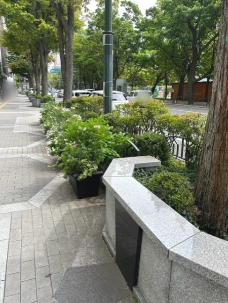 thumbnail_IMG_7654